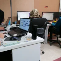 طراح سایت، پشتیبان سایت، سئوکار سایت، تولید محتوا