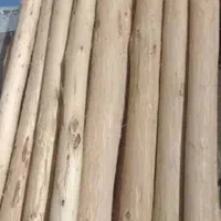 خرید چوب سقفی وبرشکاری درختان از باغچه وحیاط