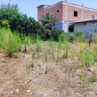 فروش زمین ۲۹۱ متری در بافت مسکونی|فروش زمین و ملک کلنگی|هادی شهر, |دیوار