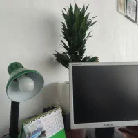 جذب نیرو خانم منشی