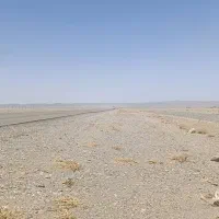 دو عدد گوسفند گم شده