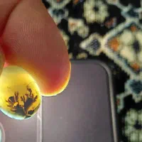 سنگ تراش خورده شجر