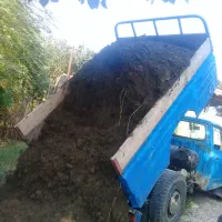 چلم گاوی و خاک برگ وغیره...