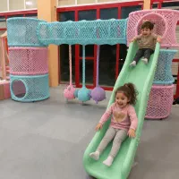 سازه دو برج تارتن با سرسره و تاب کرمی