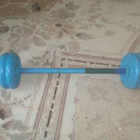 هالتر