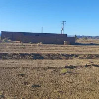 فروش دامداری(بره پرواری) با سند شش دانگ|فروش دفتر صنعتی، کشاورزی، تجاری|تربت‌حیدریه, بهشت عسکری|دیوار