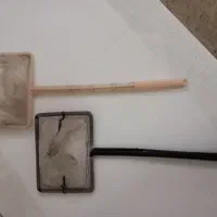 آکواریوم|ماهی|آران و بیدگل, |دیوار