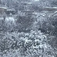 معاوضه-باغ-ویلاسوپرلوکس-همدان-باملک-زمین-همدان