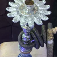 تنه طرح حاج اوغلی|کلکسیون و سرگرمی|تهران, باغ خزانه|دیوار