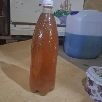 آبغوره خالص وطبیعی