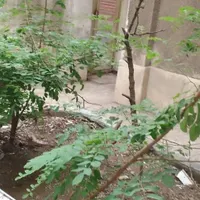 فروش خانه کلنگی (۸۶ متری)|فروش زمین و ملک کلنگی|تهران, هفت چنار|دیوار
