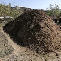 کود گوسفندی