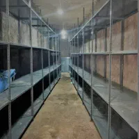 قفسه و پالت ابزار دس دو