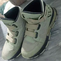 نیم پوت|کیف، کفش، کمربند|اقبالیه, |دیوار