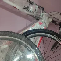 دو عدد دو چرخه ویوا|دوچرخه، اسکیت، اسکوتر|ایلام, |دیوار