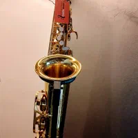 ساکسیفون آلتو سوزوکی طلائی|سازهای بادی|قزوین, |دیوار