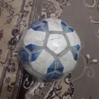 توپ سالنی سالم
