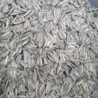 اجیل تخمه سنتی|خوردنی و آشامیدنی|یزد, |دیوار