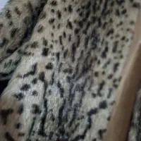 پالتو|لباس|اردبیل, |دیوار