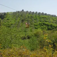 اقامتگاه بومگردی رودخانه کوهستان|اجارهٔ کوتاه‌مدت ویلا و باغ|توتکابن, |دیوار