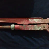 اچار شلاقی توسن