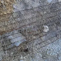قفس نگهداری مرغ