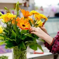 مادریار۲۴ ساعته شبانه روزی جهت نگهداری سی پی خفیف