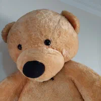 خرس بزرگ|اسباببازی بچه|تهران, سردارجنگل|دیوار