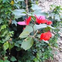 نیازمند منشی خانم برای مطب ( استخدام نداریم)