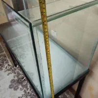 آکواریوم ماهی ۳ عدد|ماهی|بندر انزلی, متروپل|دیوار