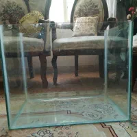 آکواریوم معاوضه با پرنده