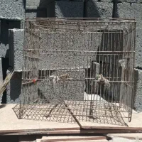 قفس پرنده