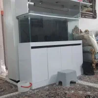 اکواریوم