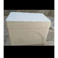 چوب پنبه