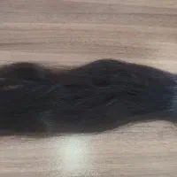 مو کات شده