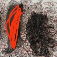 سه عدد دنباله موو یک پوستیژ کامل وبلندخوشرنگ طبیعی
