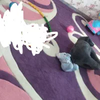 گلیم فرش ۱۲متری نو بدون هیچ زدگی