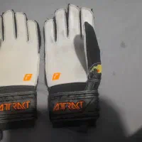 دستکش دروازه بانی راش