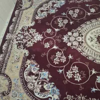 قالی ۱۲ متری|فرش|شیروان (خراسان), |دیوار