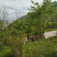 زمین ۲۴۰۰ متر / در ارتفاعات منطقه/قبل از تاکام|فروش زمین و ملک کلنگی|پایین هولار, |دیوار