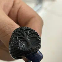 تعدادی بدلیجات|بدلیجات|پرند, فاز ۶|دیوار