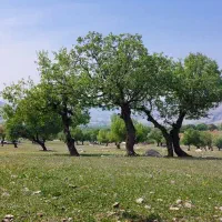 معاوضه-زمین-با-خودرو