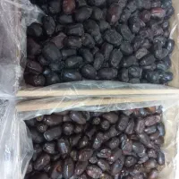 خرمایی رطب جون