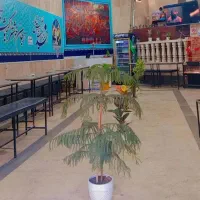 نیازمند به یه همکار جهت کار در قهوه خانه