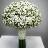 اجاره ماشین عروس|خودرو اجاره‌ای|قزوین, |دیوار