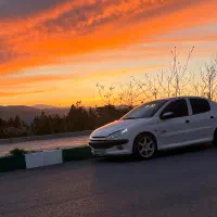 206 sd v8|خودرو سواری و وانت|شهرکرد, |دیوار