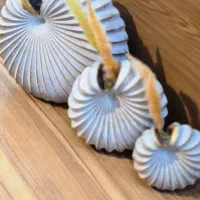 اکسسوری های ترند ، پینترستی و مینیمال|صنایع دستی و سایر لوازم تزئینی|اصفهان, جویباره|دیوار