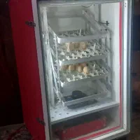 دستگاه جوجکشی