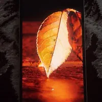 RedmiNote14|موبایل|بناب, |دیوار