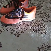 کفش فوتبال چمنی|کیف، کفش، کمربند|ارومیه, |دیوار